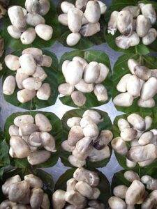 เห็ดฟาง